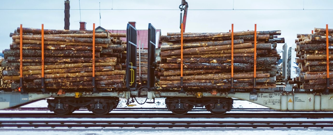 Mit Holz beladener Eisenbahngüterwagen in der Bilanz. Bäume absorbieren CO2.