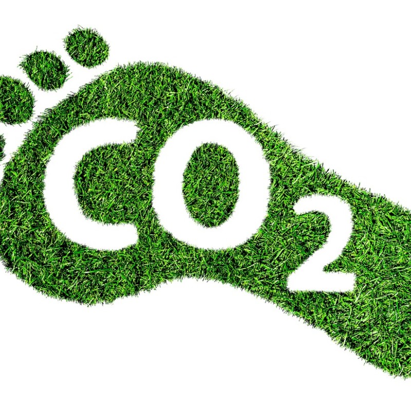 Green image with carbon dioxide CO2 symbol and footprint.